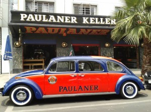 Fotot Paulaner Strechkäfer in Mexiko