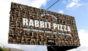 Rabbit Pizza1