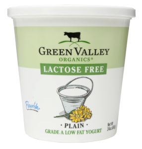 GVO Plain Yogurt