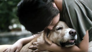 Pedigree-Thailand-Dog-Mothers-Day-Branding-in-Asia