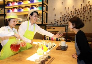 teavana_tea_asia_1